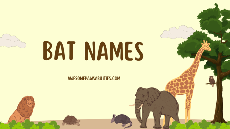 107+ Bat Names | Famous, Funny, Cute and Unique Ideas