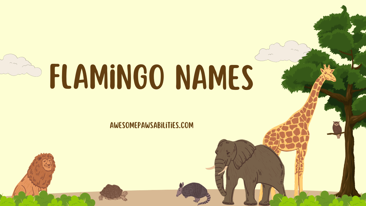 Flamingo Names