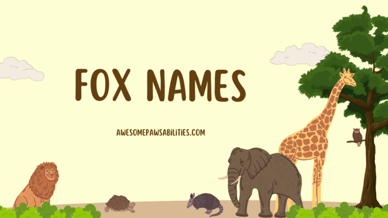 99+ Fox Names | Famous, Funny, Mythical, and Cute Ideas