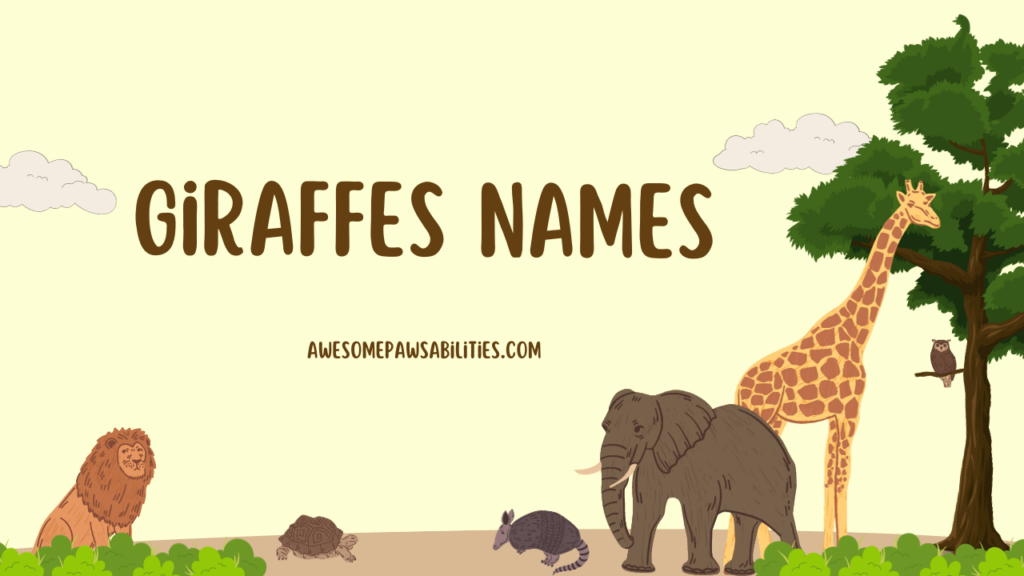 Giraffes Names