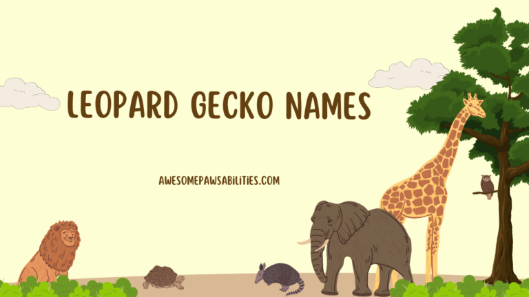 99+ Leopard Gecko Names | Female, Male, Cute and Rare