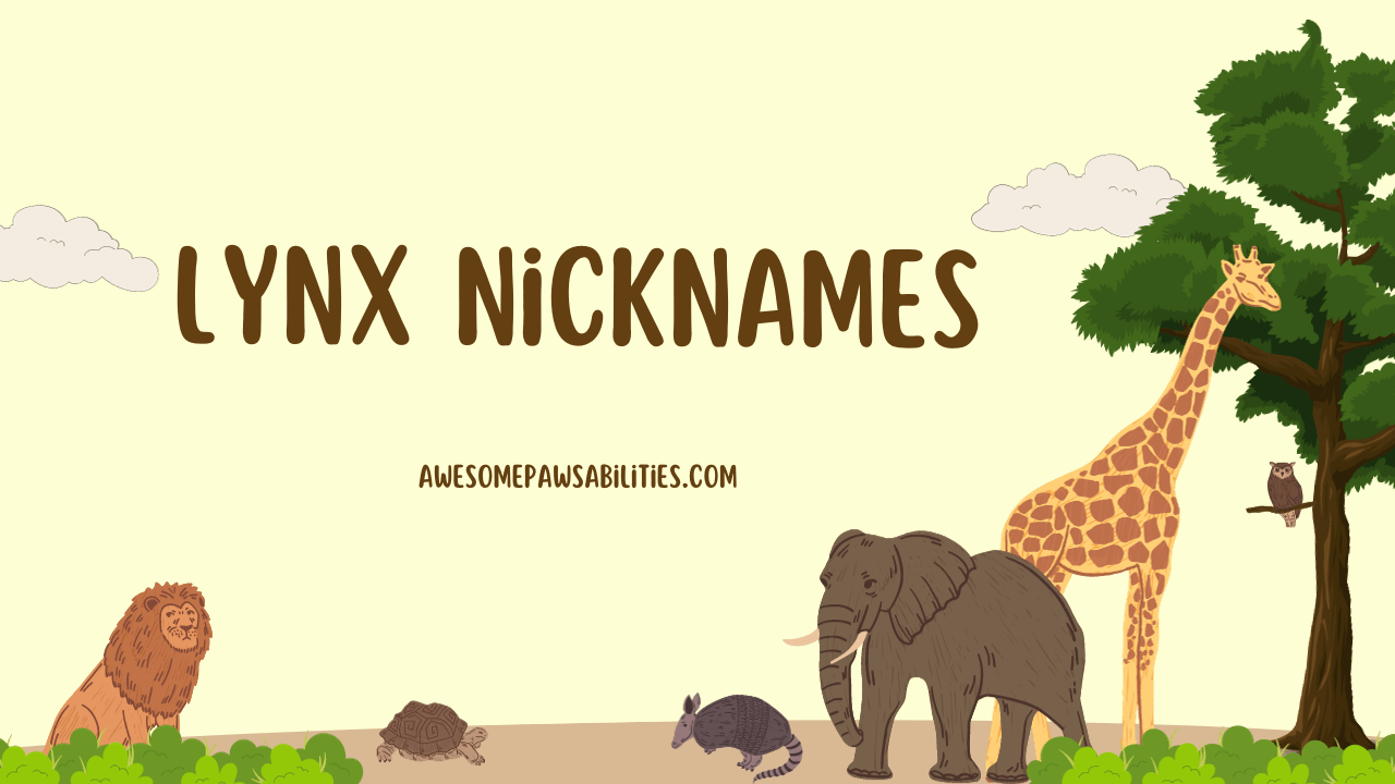 Lynx Nicknames