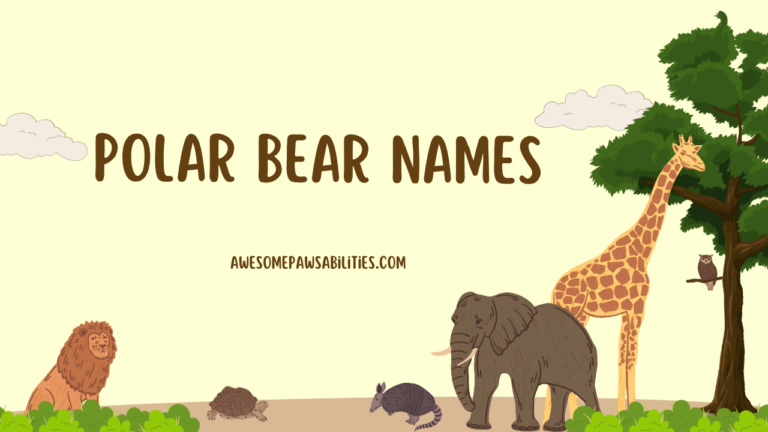 91+ Polar Bear Names | Cute, Famous, and Funny Collection