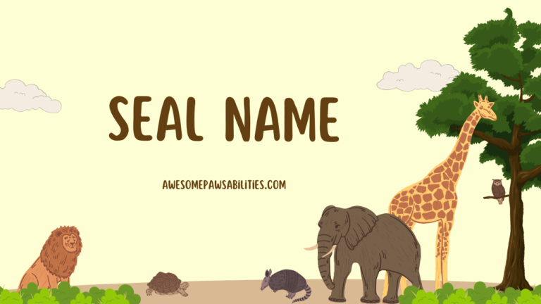 101+ Seal Name | Baby, Famous and Funny Collection