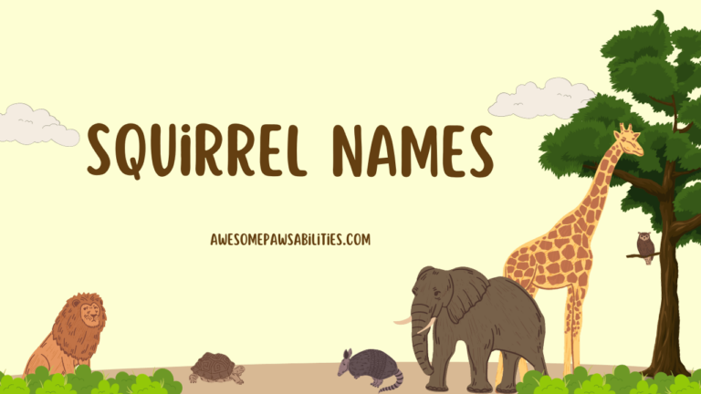 109+ Squirrel Names | Funny, Cute, Wierd and Baby Pet Names