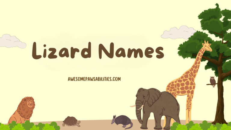 109+ Lizard Names | Male, Female, Cute and Funny Ideas
