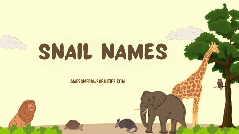 398+ Snail Names | Cute, Famous, Male and Funny