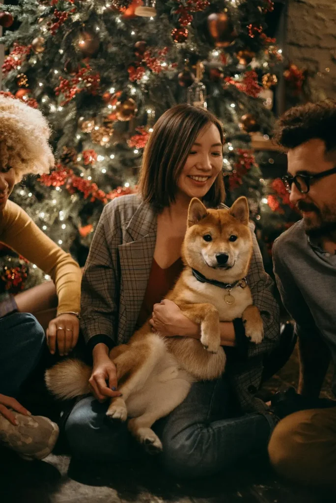 First-Time Pet Owner Mistakes and How to Avoid Them